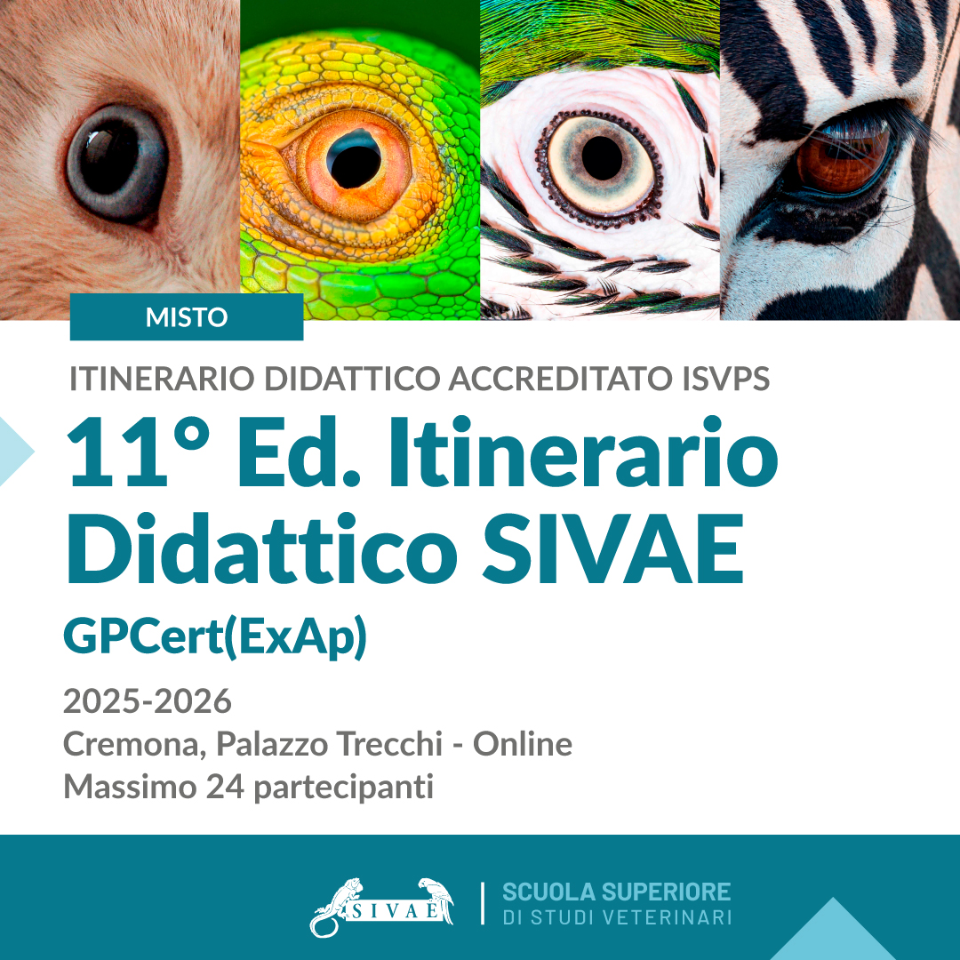11° ED. ITINERARIO DIDATTICO SIVAE