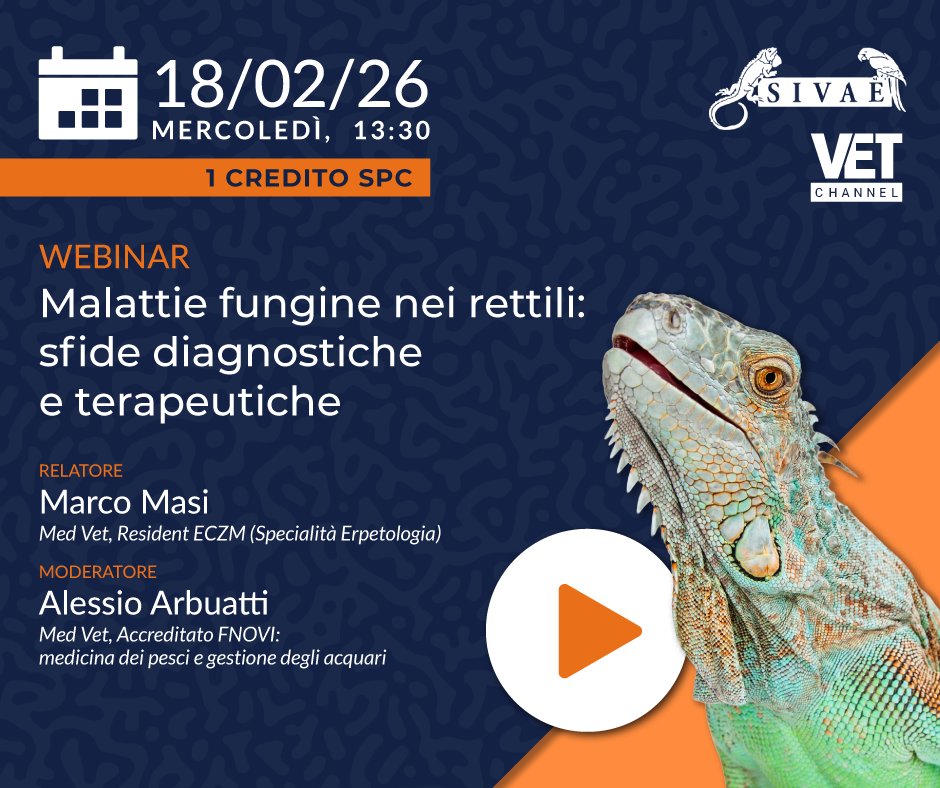 PROSSIMO MERCOLEDI' ESOTICO