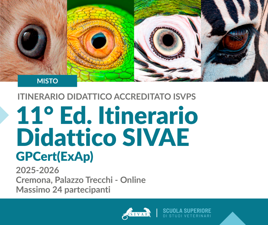 11° ED. ITINERARIO DIDATTICO SIVAE