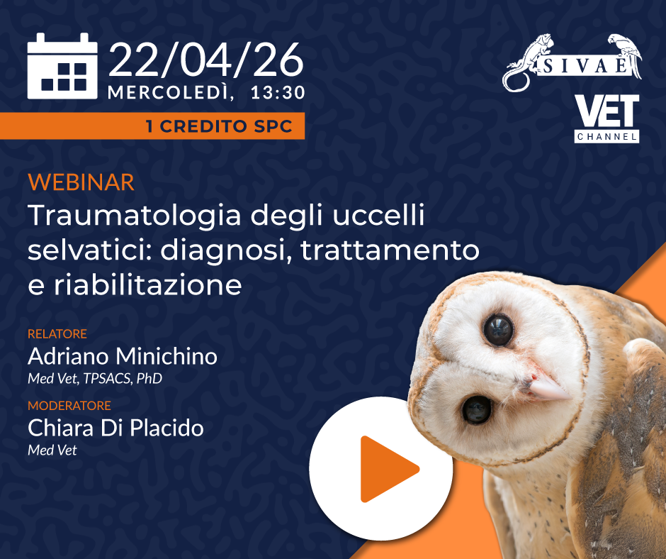 PROSSIMO MERCOLEDI' ESOTICO