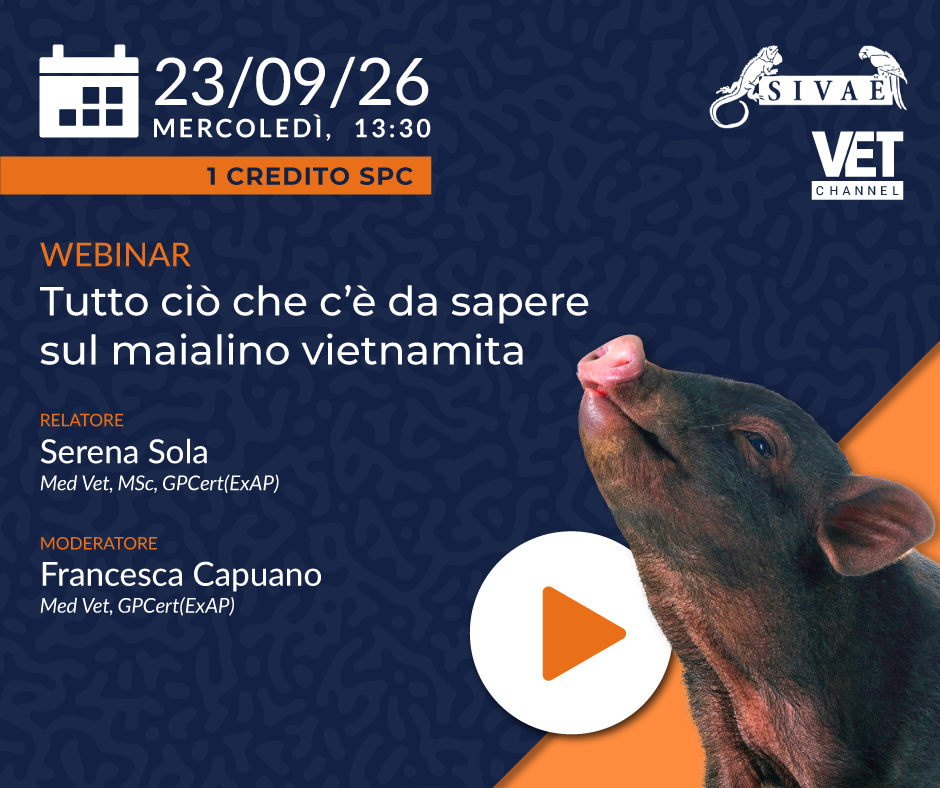 PROSSIMO MERCOLEDI' ESOTICO