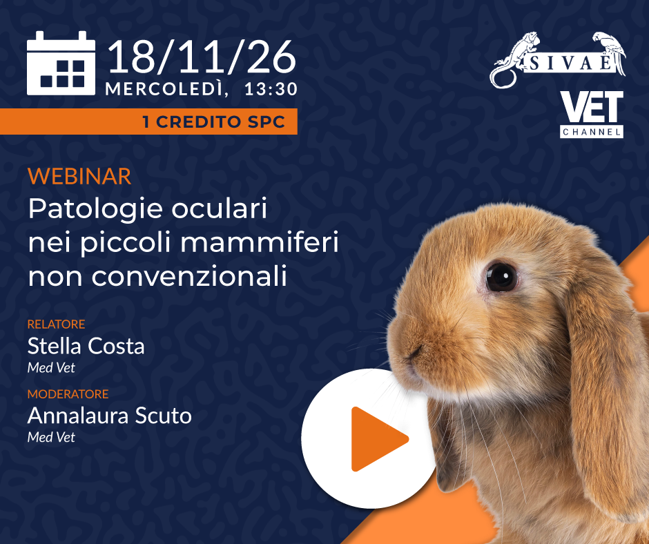 PROSSIMO MERCOLEDI' ESOTICO